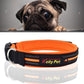 Orange reflective dog collar with adjustable strap and metal D-ring