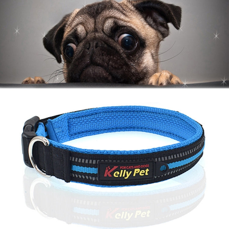 Blue reflective dog collar with black webbing and metal D-ring
