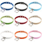 Collection of colorful leather choker collars with silver dual rings