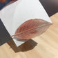 Girls' glitter leaf hair clip, pink-brown gradient leaf on a card backing