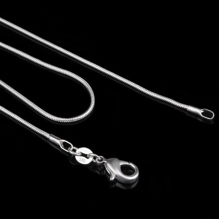 Close-up silver snake-bone chain necklace with clasp and spring-ring