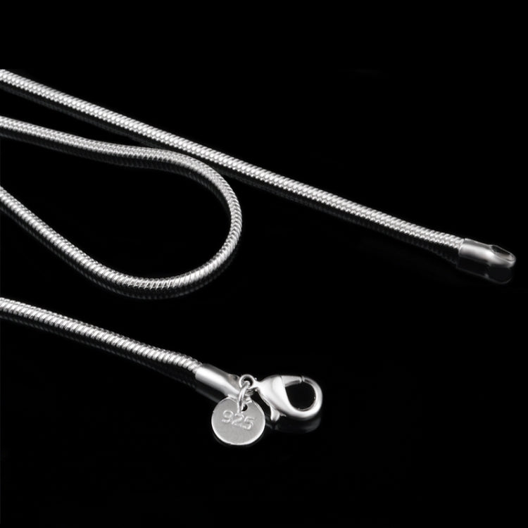 Close-up of silver snake-bone chain with clasp and round metal tag