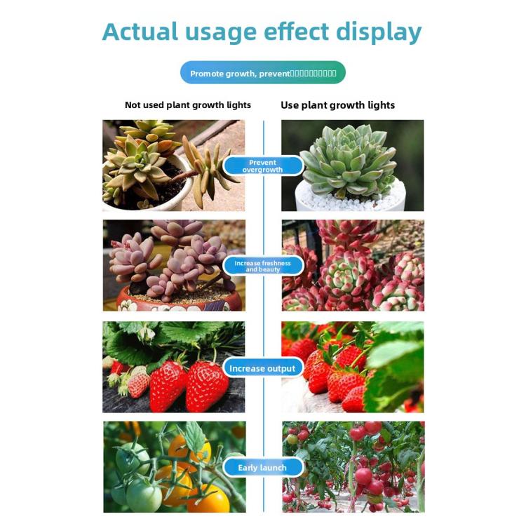LED grow lamp usage comparison showing plants under grow light versus none