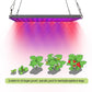LED0469_8.jpg@638ecd118226ef2196fb50f1092367ff