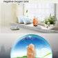 LED0477_12.jpg@718cc6a734bb13d915c425a5314aa973