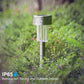 Solar garden stake light in rain with stainless steel top and clear LED lamp