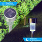 Solar garden stake lights with round stainless steel solar caps and clear LED cells