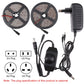 2pcs Bare Board 2835 SMD Dimmable White Light / Warm Light LED Rope Light, 60 LED/m, Length: 5m, 12V 2A 100-240V, 2835 SMD LED, 5m x 2