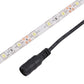 2pcs Bare Board 2835 SMD Dimmable White Light / Warm Light LED Rope Light, 60 LED/m, Length: 5m, 12V 2A 100-240V, 2835 SMD LED, 5m x 2