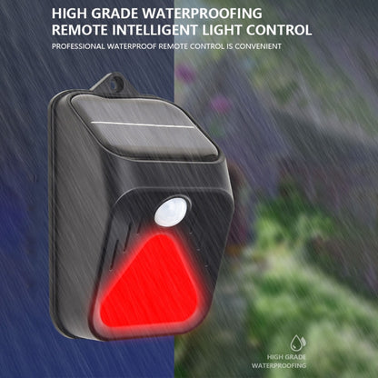 LED2450_B3.jpg@ed234ecffc5479b036e639db25ffc784