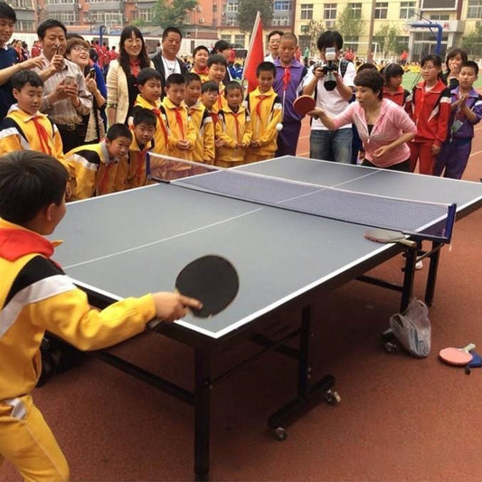 4 in 1 Table Tennis Racket + Table Tennis + Net + Rack Set, 4 in 1