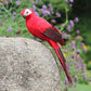 25cm simulation parrot garden decoration, red and black wings, perched on a rock