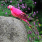 25cm simulation parrot garden decoration, pink and black wings, perched on a rock