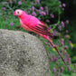 35cm Simulation Parrot Simulation Macaw Horticultural Decoration, 35cm (White), 35cm (Yellow), 35cm (Green), 35cm (Blue), 35cm (Red), 35cm (Rose Red)