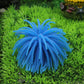 Blue artificial sea urchin coral ball decoration with spiky tentacles, aquarium decor