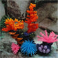 Assorted spiky sea urchin ball coral decorations in orange, blue, pink, and red.