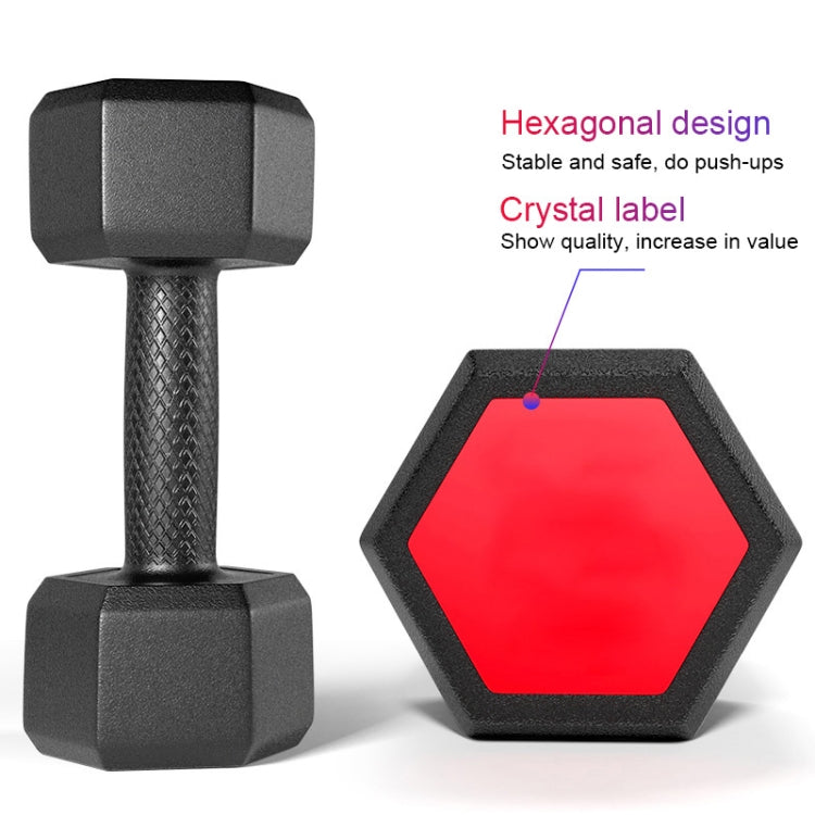 Hex dumbbell with anti-slip textured handle and octagonal end caps; red label face.
