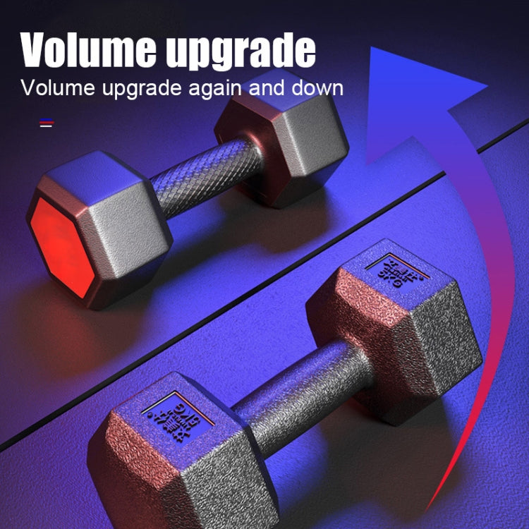 Two hex dumbbells with textured handles and red hex inserts; product angle view.