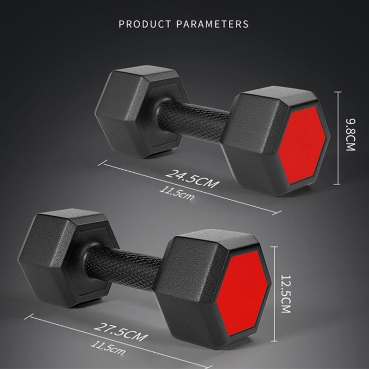10 kg hex dumbbells with side dimensions shown for length and handle size