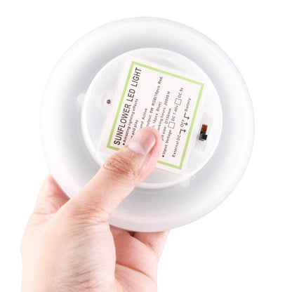 PRC0005W_5.jpg@39ede5cb14b5365e33d5303417d20c29