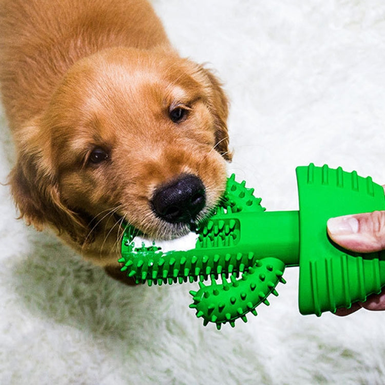 Green cactus-shaped dog tooth cleaning toy with spiked bristles and handle base
