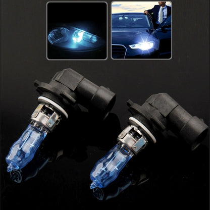 Halogen car headlight bulbs pair, blue glass, black housings with metal base terminals.