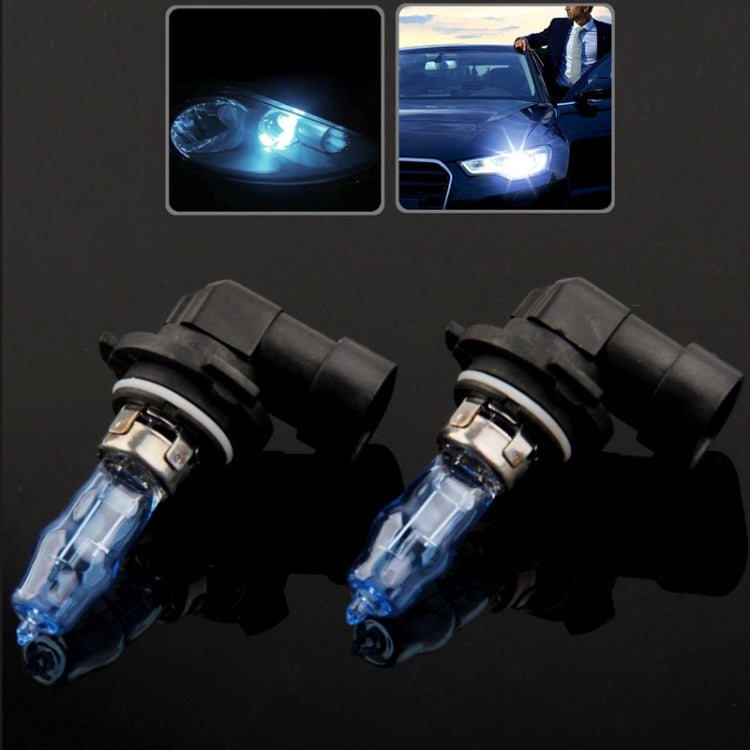 Halogen car headlight bulbs pair, blue glass bulbs, black housings with metal bases.