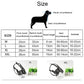 Dog muzzle size chart for XL and XXL wire and leather muzzle with strap fittings