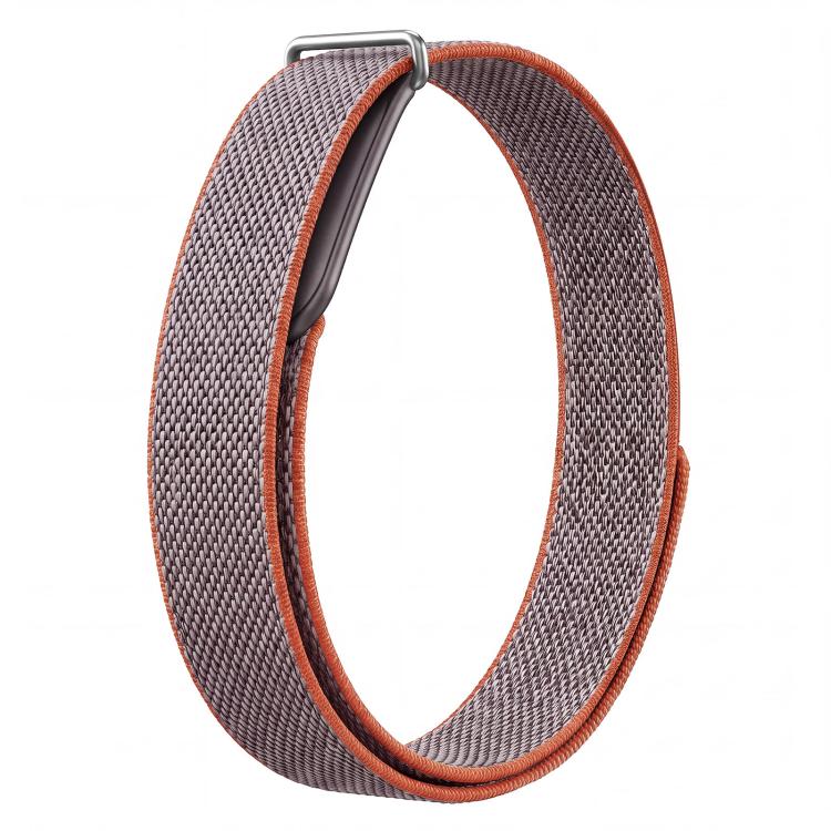 TPU Frame Integrated Nylon Loop Arm Band, For Google Fitbit Air