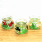 Set of miniature transparent glass fish tanks with green plants and mixed fish