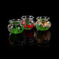 Miniature transparent glass fish tank set with green plants and red fish