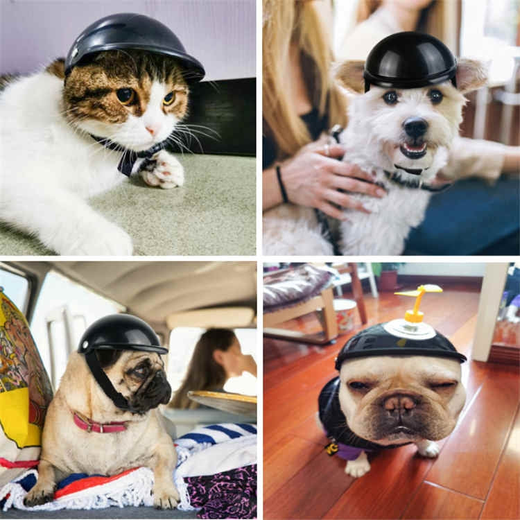 Cat and dog wearing a glossy black pet helmet with adjustable chin strap