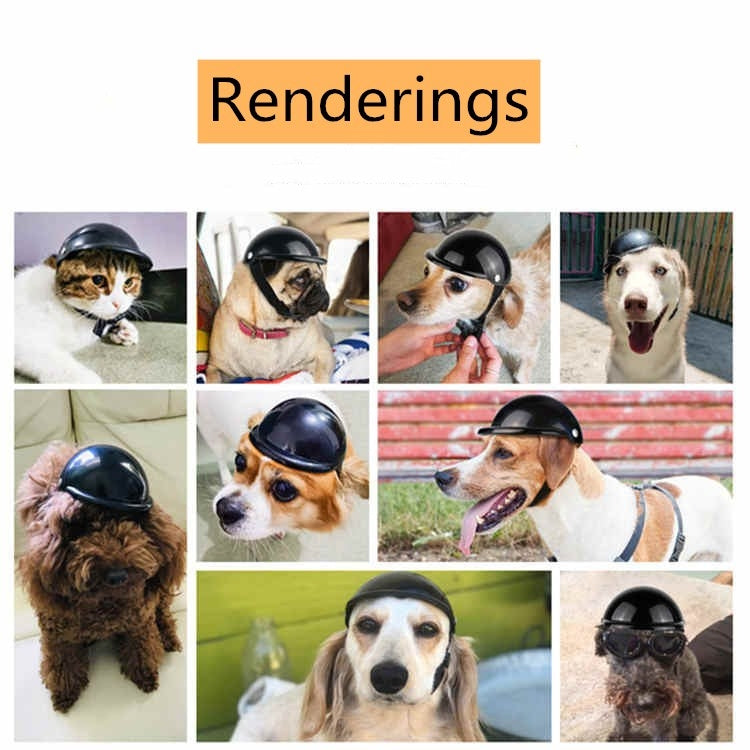 Collage of dogs and cats wearing glossy black pet helmets in multiple poses