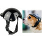 Black pet helmet with adjustable chin strap, shown on a dog with rounded vented dome