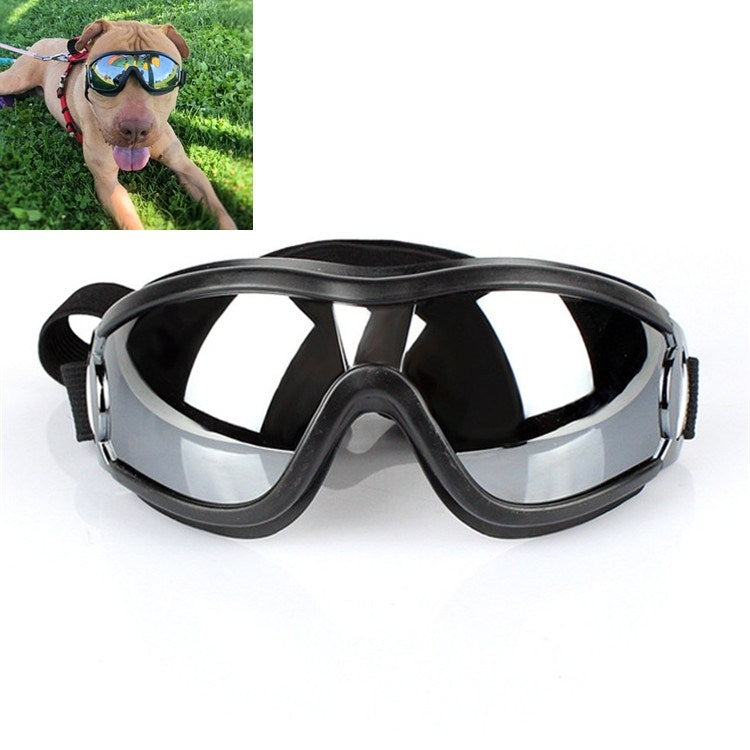 Black pet UV goggles with clear mirrored lenses and adjustable head strap.