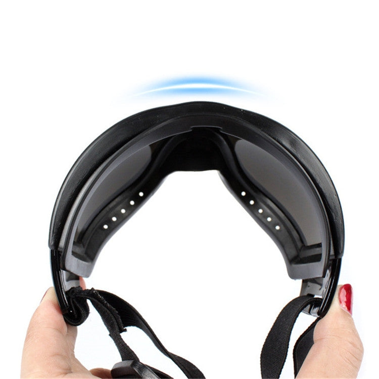 Black pet goggles with foam-lined head strap and protective lens frame vents.
