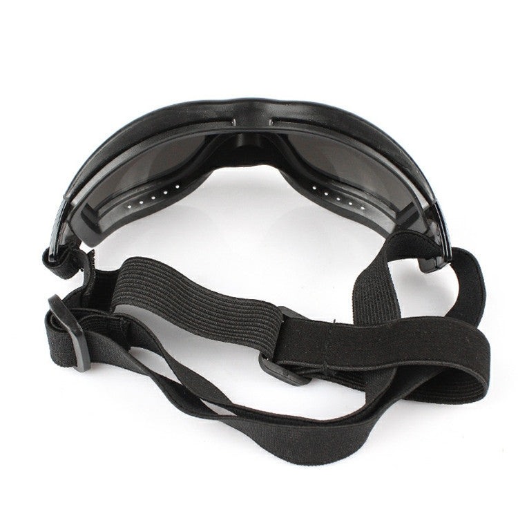 Black pet UV goggles showing adjustable webbing strap and lens shield frame.