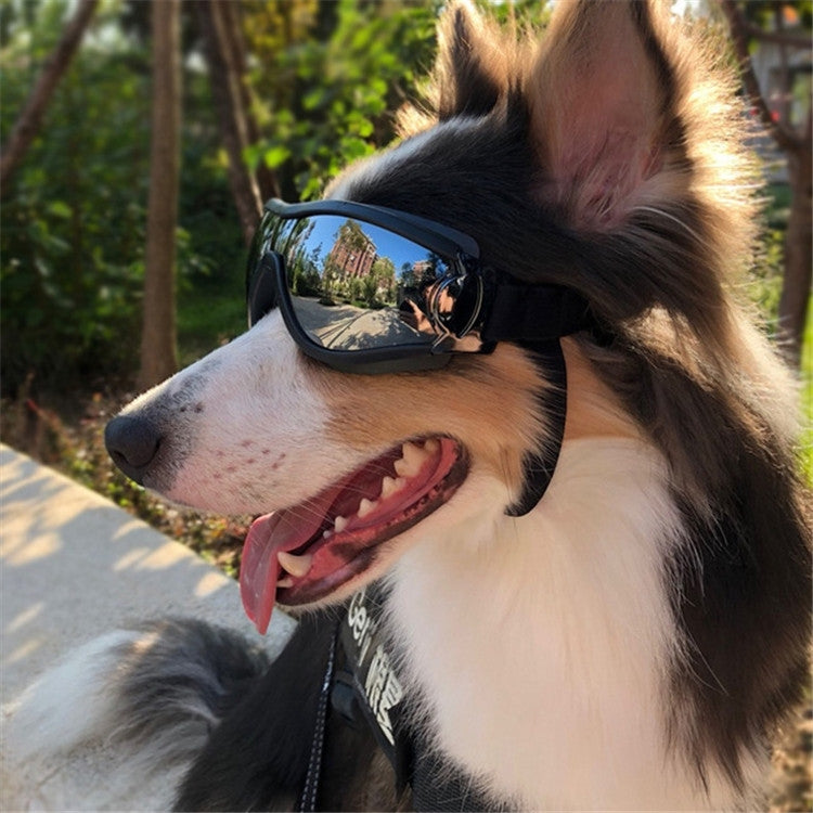 Dog wearing black UV protective goggles with reflective lenses outdoors.