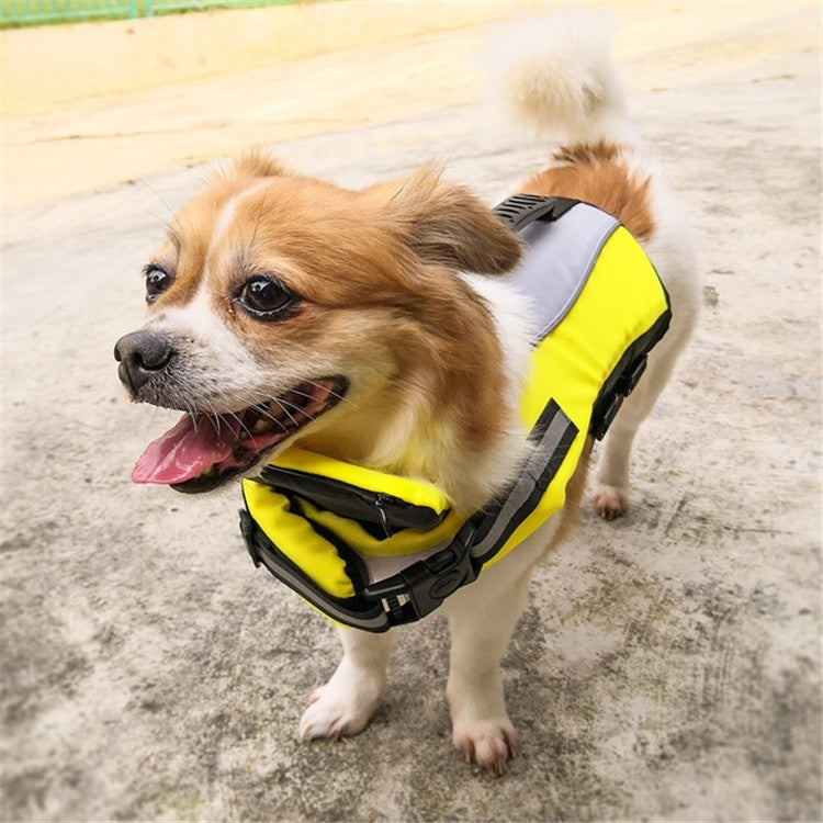 Small dog wearing yellow and black inflatable life jacket with front reflective strip