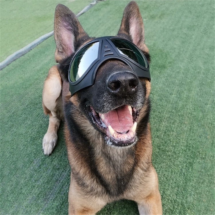 Dog protective goggles with black soft frame and clear mirrored lenses