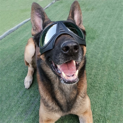 Dog protective goggles with black soft frame and clear mirrored lenses