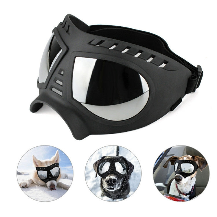 Black dog protective goggles with clear mirrored lenses and vented front frame