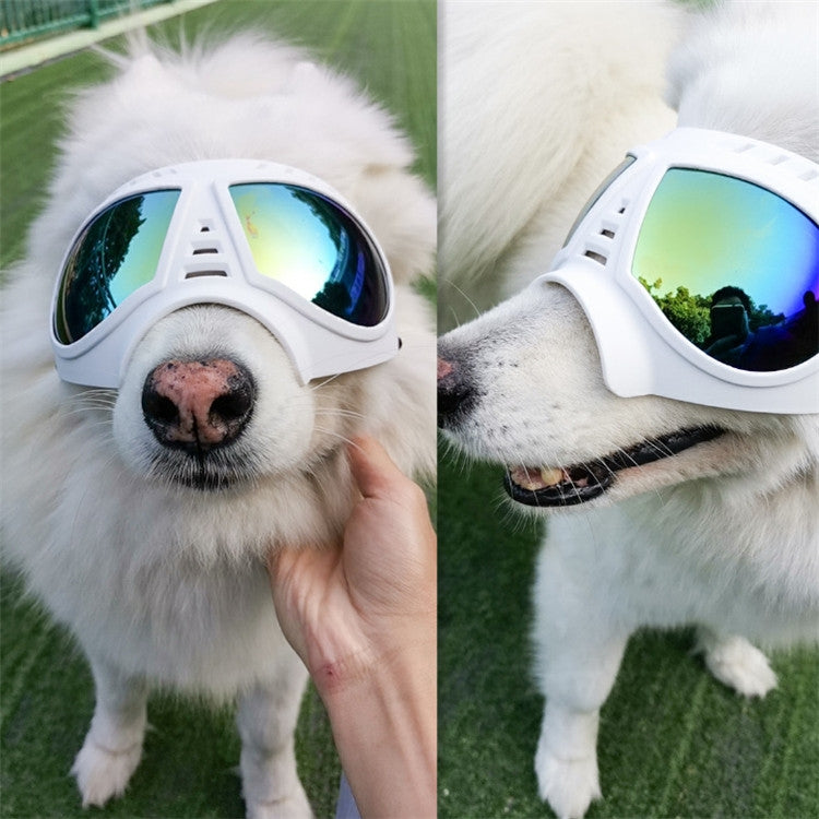 White dog protective goggles with blue-tinted mirrored lenses and secure head strap