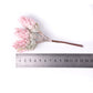 TBD0154279801A_4.jpg@d5a919aed99fd93def9ec52e9e680c1b