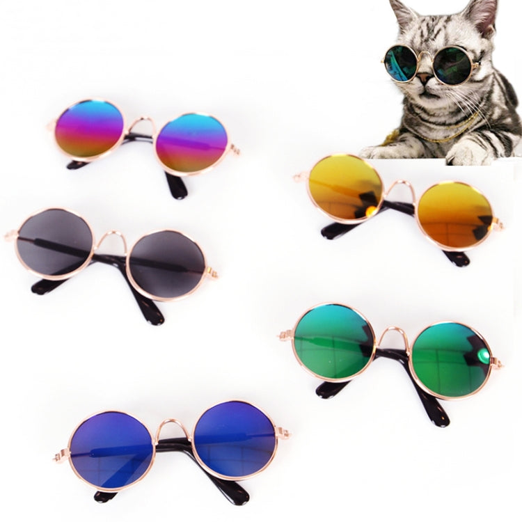 Assorted pet sunglasses set with rainbow reflective round lenses and rose-gold frames