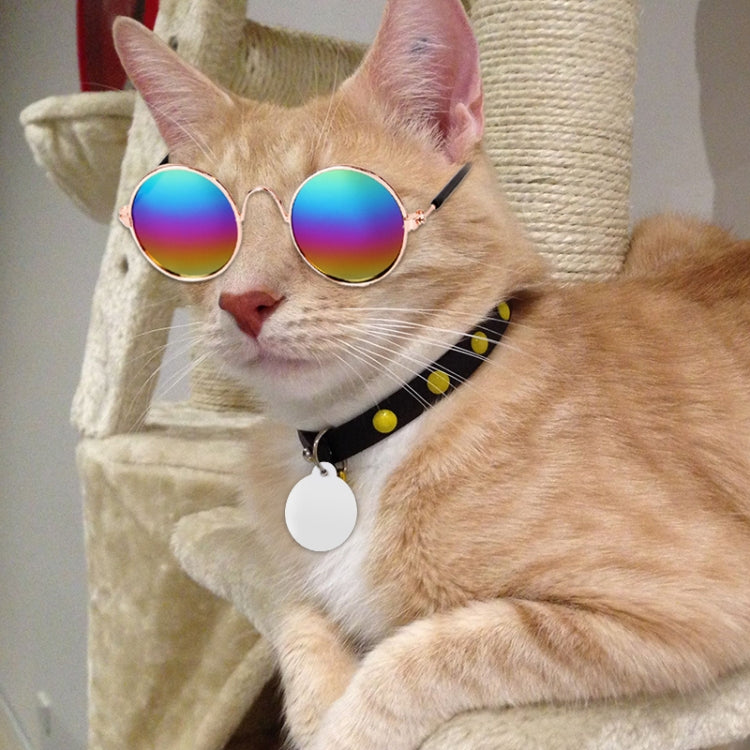 Pet sunglasses on a cat with rainbow reflective round lenses and rose-gold frames