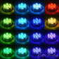 TBD01877975_7.jpg@d7e3f68c47facf8a97bf31e6941406ae