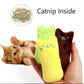 Set of two plush catnip chew toys in yellow and green with stitched cat faces