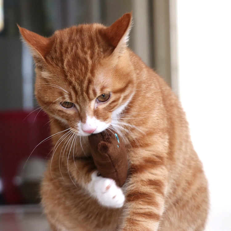 Plush catnip chew toy held by a cat, dark brown with stitched cat face