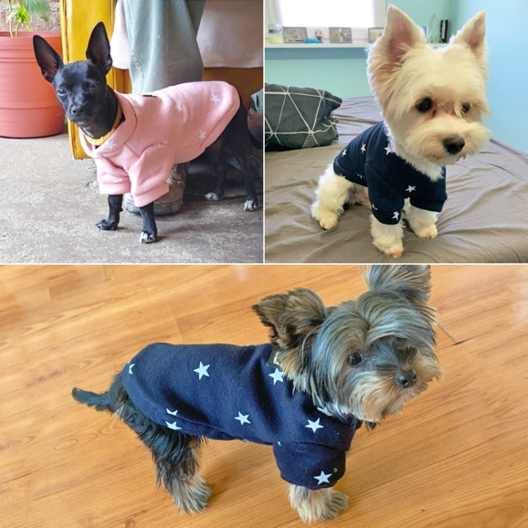 Pink star-pattern pet sweater on a small dog, side view